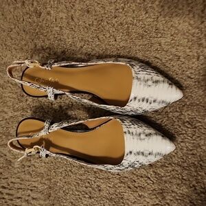 Calvin Klein Women's Shoes Snake Print